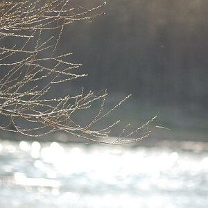 Tag am See