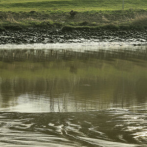 stauwasser