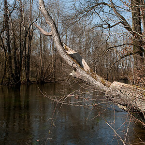 friedlich