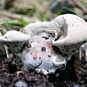 2 DSC 4027 2