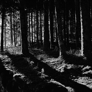 VDSC 2929