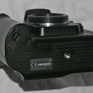 DSC 8046