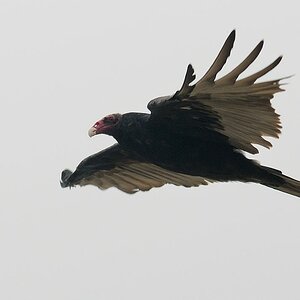 2013 08 19 14 03 47 D30 8914 copy