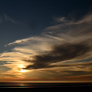 DSC 0592 SU