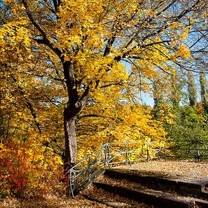 Herbst in Weimar 01