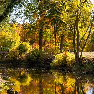 Herbst in Weimar 02