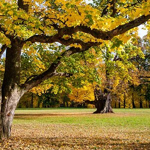 Herbst in Weimar 03