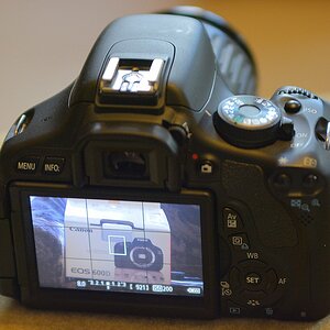DSC 8069