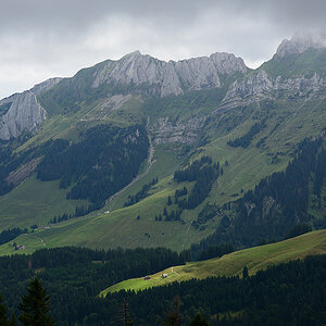 DSC 7968kws