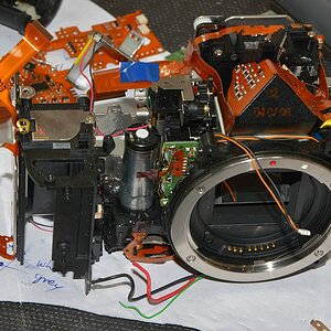 DSC 8066