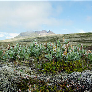 2013 Island 091