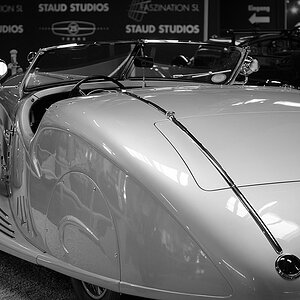 sinsheim DSC 3358