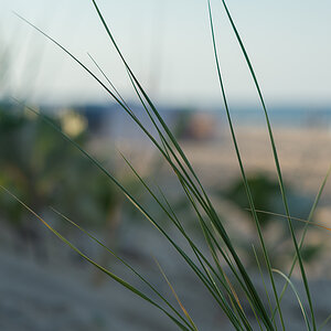 sommer13.1