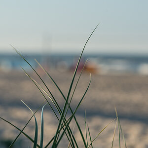 sommer13.7