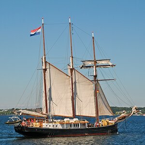2013 Hendrika Bartelds