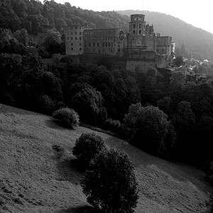 heidelberg DSCF9859
