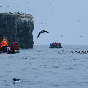 Spitzbergen 2013 SPE 06 1939 NFF