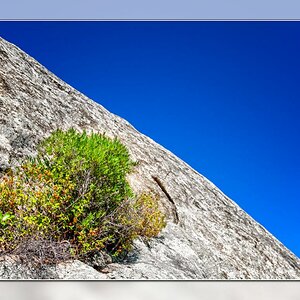 Diagonale
