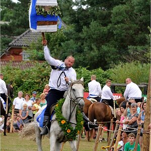 comp DSC 4347