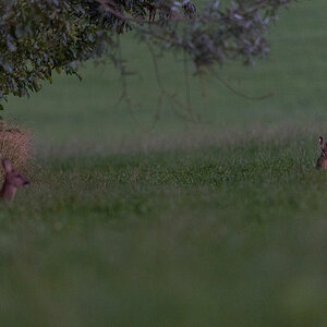 F05 9127