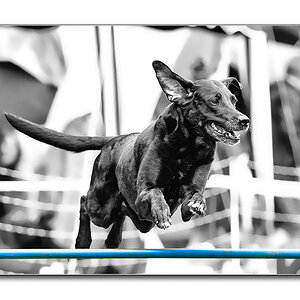 Agility2