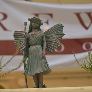 british days Krefeld Linn 07 09 13
Fee