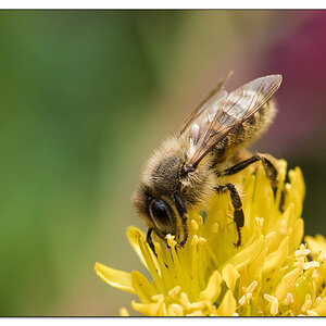 20130713 1217 DSC 0255