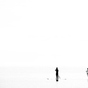 comp DSC 3969   2