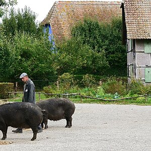 DSC 9029