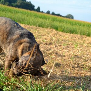 Schnappschuss auf dem Spaziergang