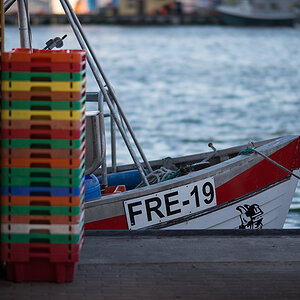 free19