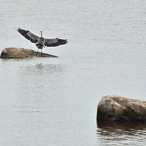 DSC 9392 khg
