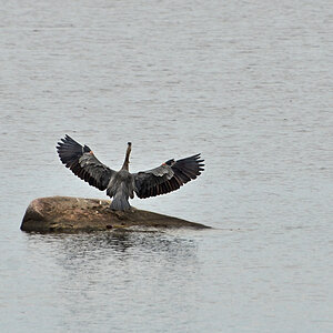 DSC 9393 khg