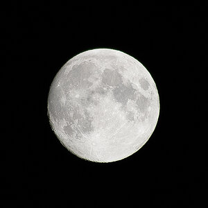 MT 7187