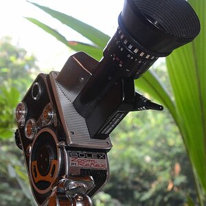 DSC 1855