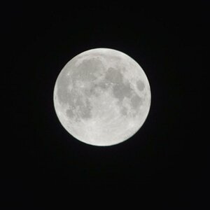 Mond 
Exif:
Kamerainformationen
Gerät:	Nikon D3200
Objektiv:	VR 55-300mm 1:4.5-5.6G
Brennweite:	260mm
Fokussteuerung:	AF-S
AF-Messfeldsteuerung:	Einze