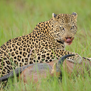 Botswana 2011 SPE 2557 NFF