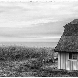 comp DSC07419 1 bearbeitet 1