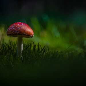 20131003 125600