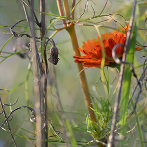 47900schönesdurcheinandertw