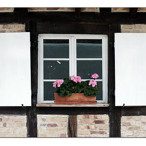 Fenster mit Laden
