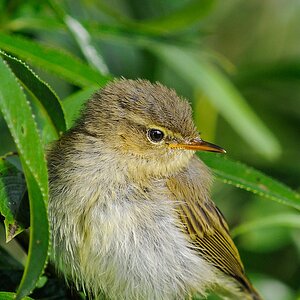 20130630 7052 [NIKON 1 V1] 280 mm,1 250 Sek. bei ƒ   6,3