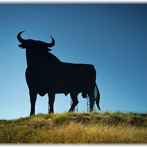 el toro