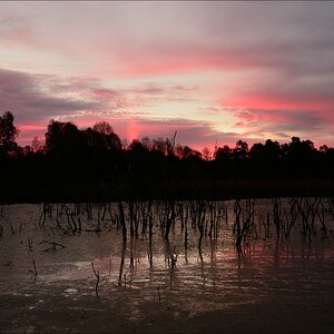 aacomp hasenmoor 20131019 0013