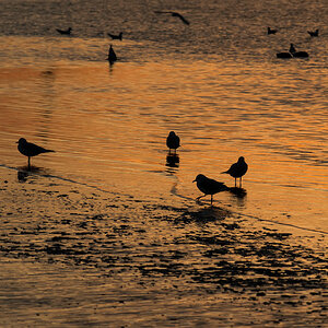 travemuende abend