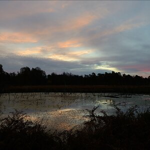 aacomp hasenmoor 20131019 0046
