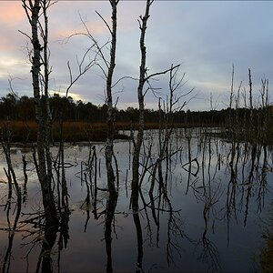 aacomp hasenmoor 20131019 0049