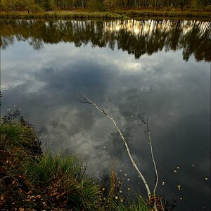 aacomp hasenmoor 20131019 0158