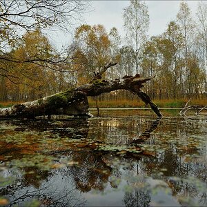 aacomp hasenmoor 20131019 0204