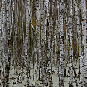 aacomp hasenmoor 20131019 0234